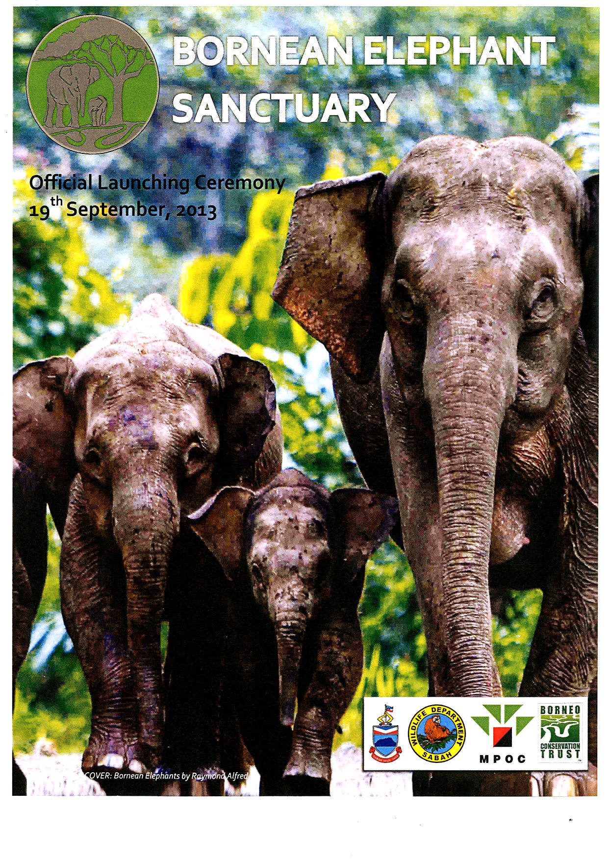 BorneonElephant Sanctuary